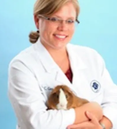 Dr. Lisa Gerity 